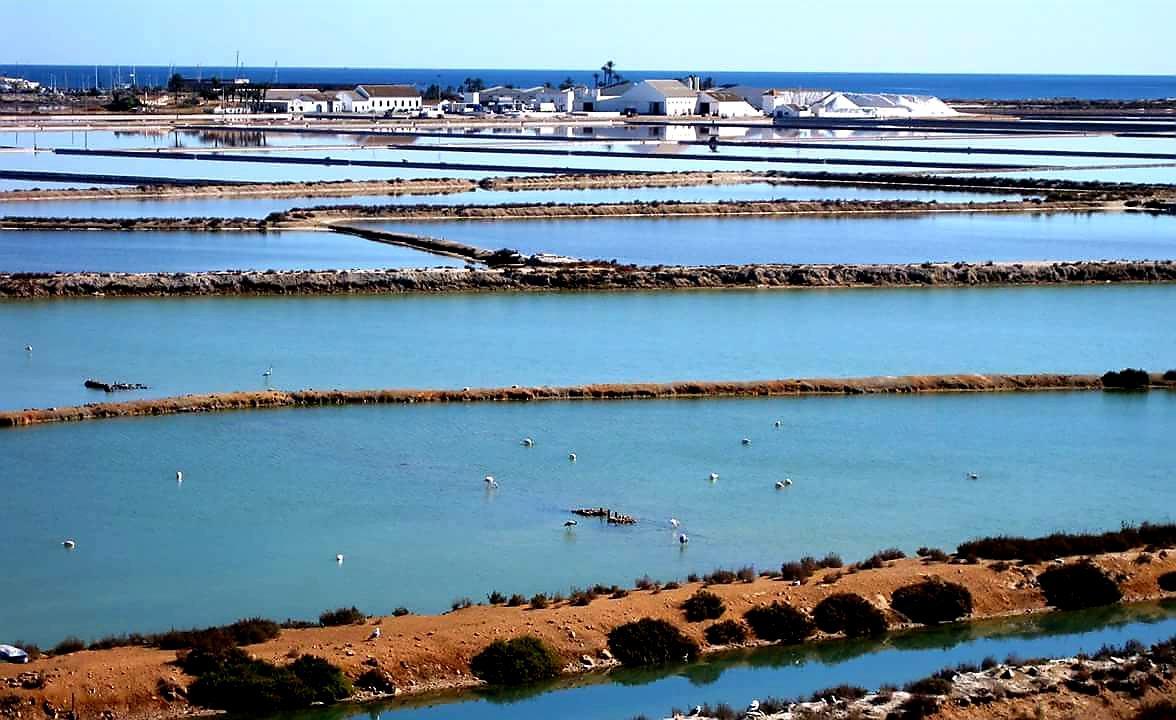 Hotel Alaska سان بيذرو ذيل بيناتا المظهر الخارجي الصورة